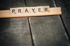 lightstock_91983_medium_william