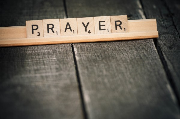 lightstock_91983_medium_william