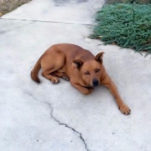 17759725_10202991970916935_5044399974329844627_n